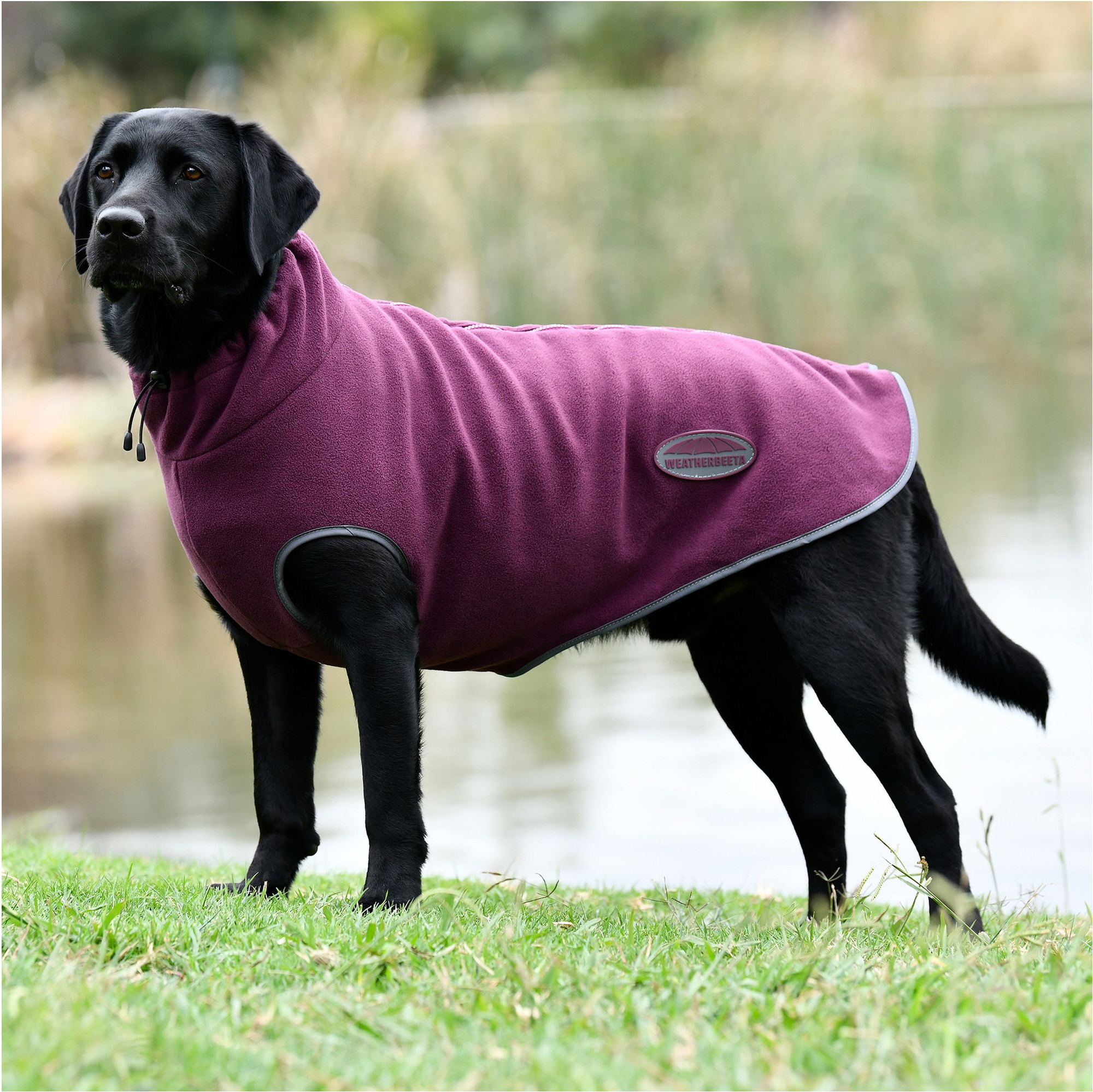 Weatherbeeta Comfitec Fleece Zip Hund Mantel 1003457 - Maroon / Grey